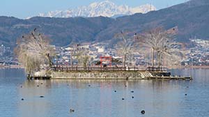 �N���b�N���Ċg��